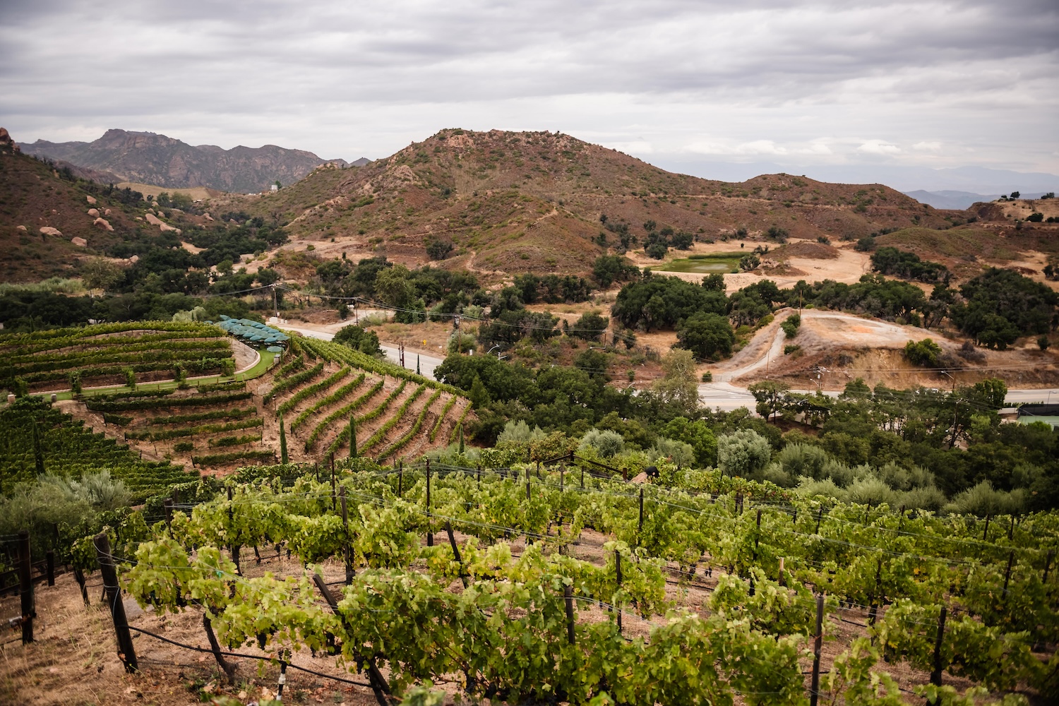 0009 IM Cielo Farms Malibu Wedding Photography