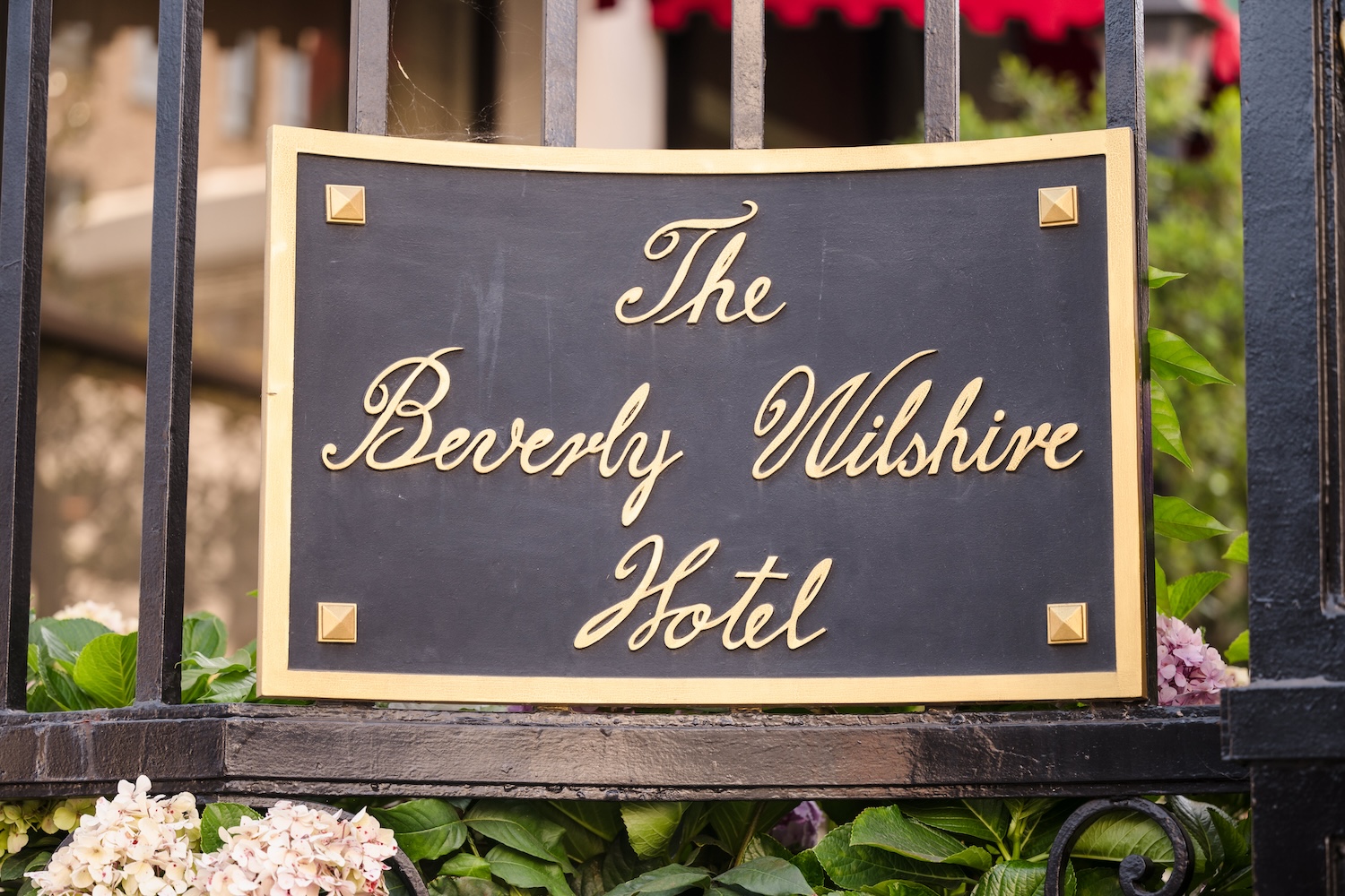 beverly wilshire LBM8089